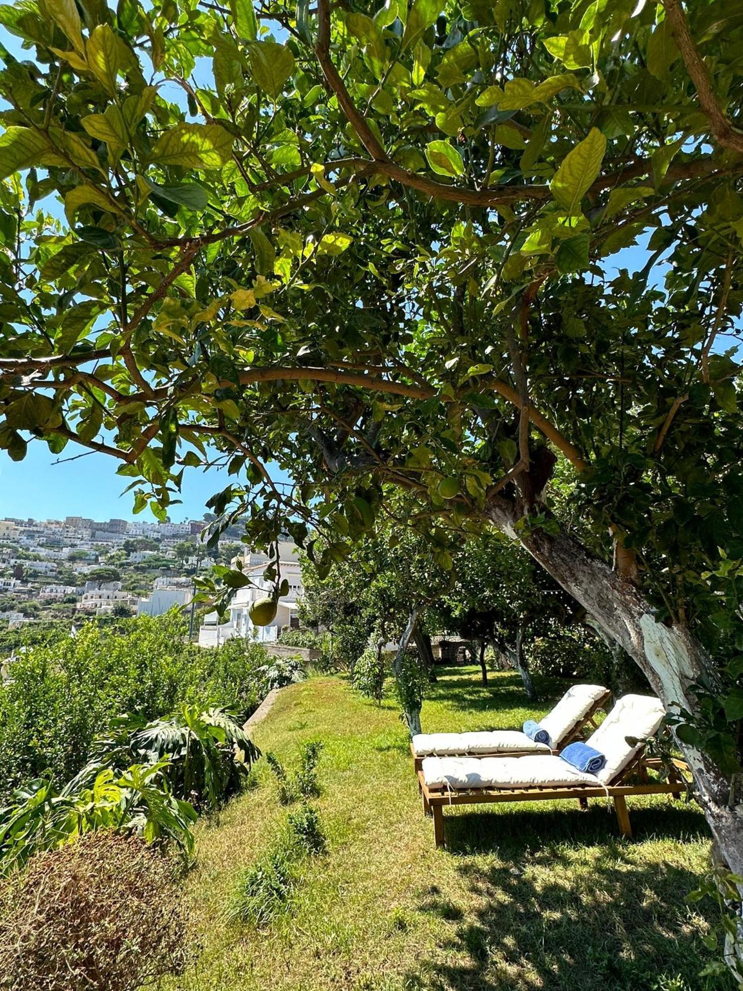 Holiday home Depandance Casa Paolina