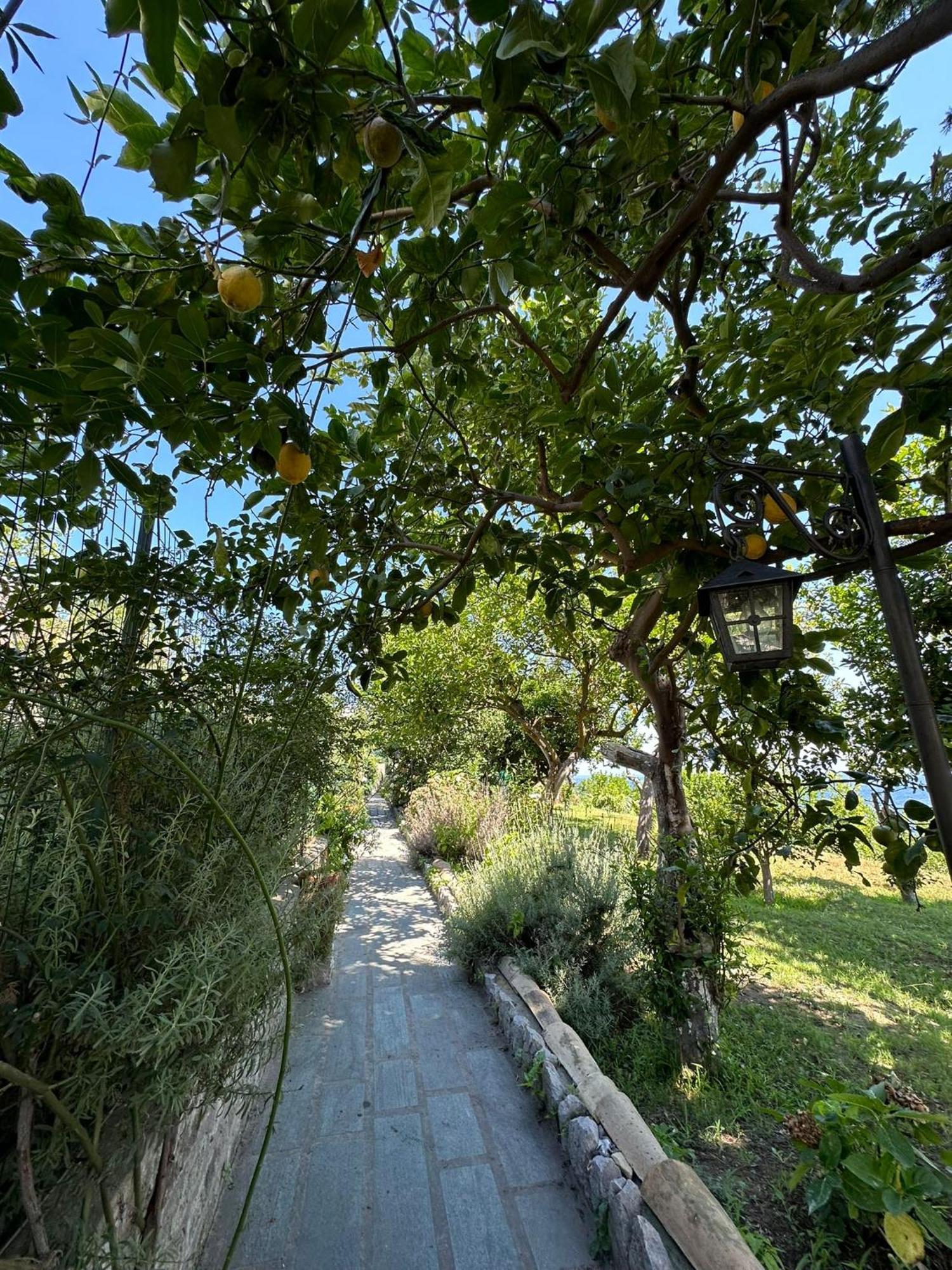 Depandance Casa Paolina * Capri