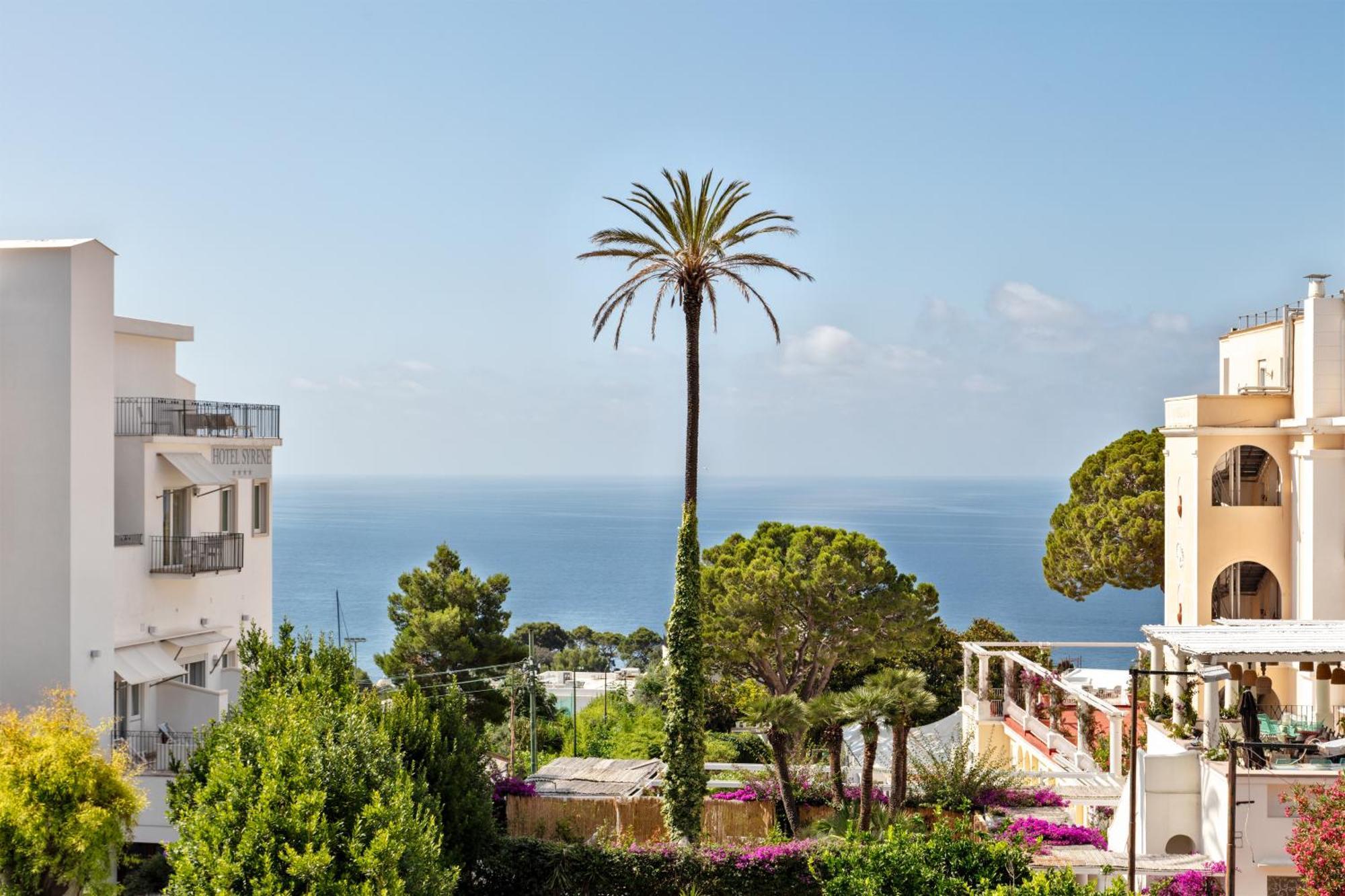 Pazziella Garden &