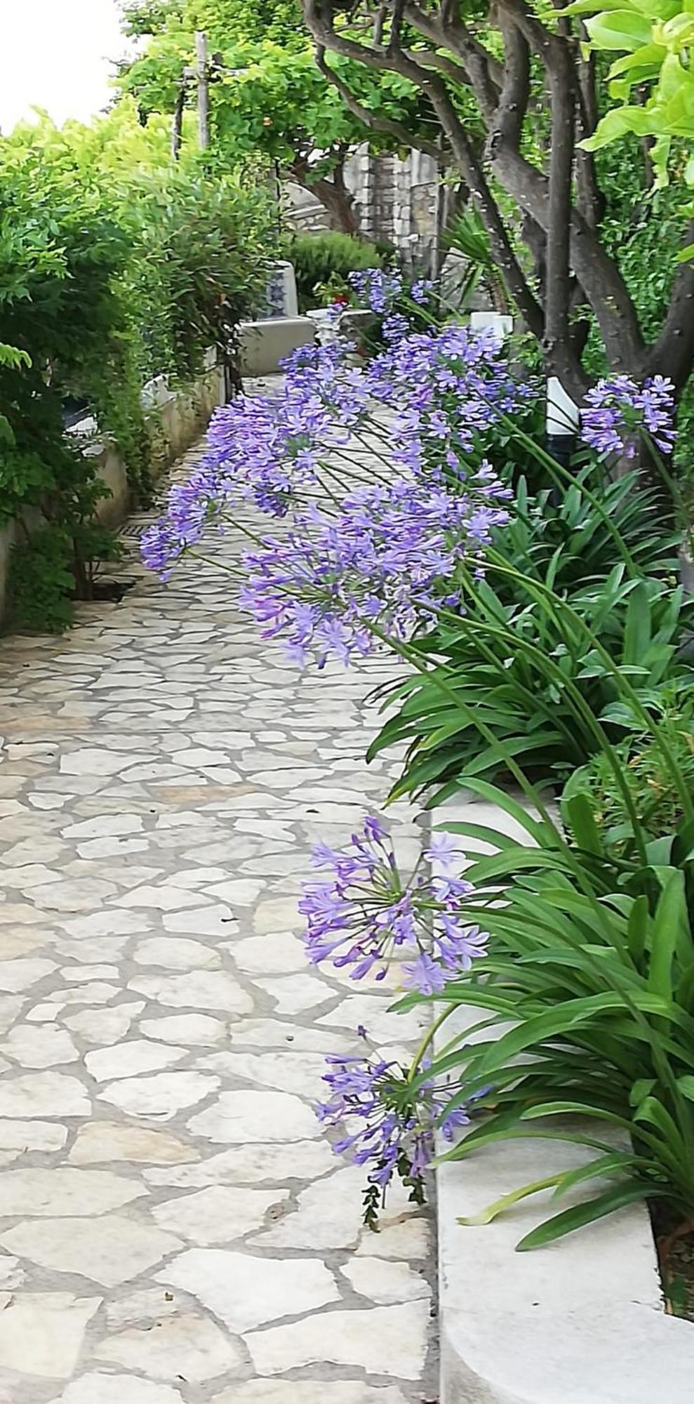 Giardini Luxury Gasthof Capri