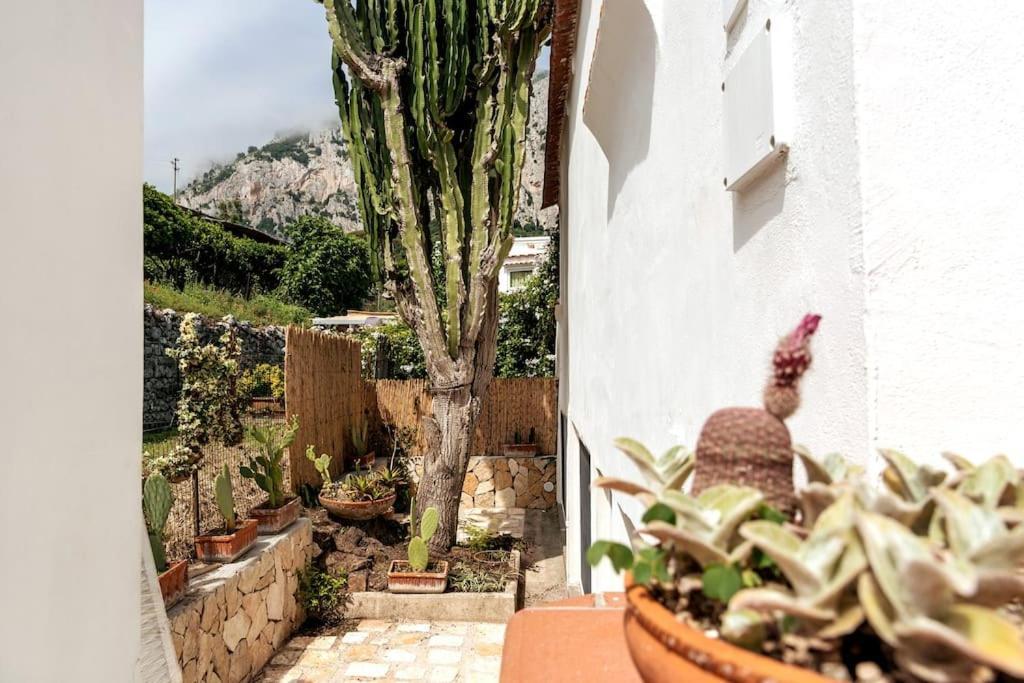 Casa La Scaletta, * Capri