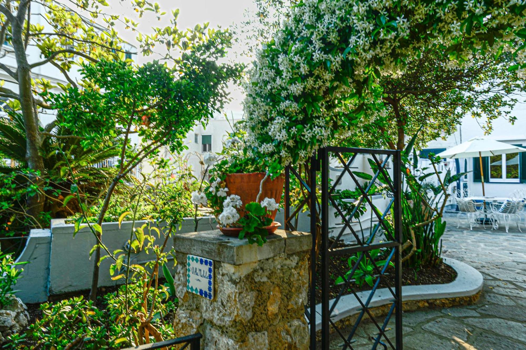 Casa vacanze Michela, 2br, 2bt, Amazing Patio, Jacuzzi, Newly Renovated