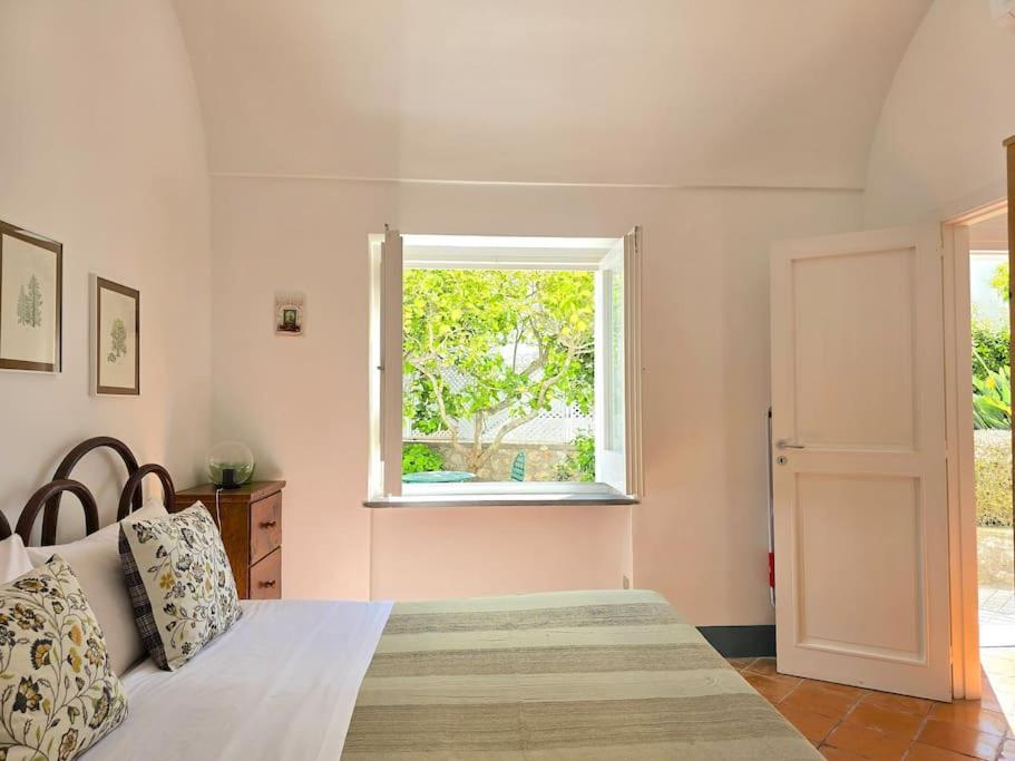Lemon House Apartment