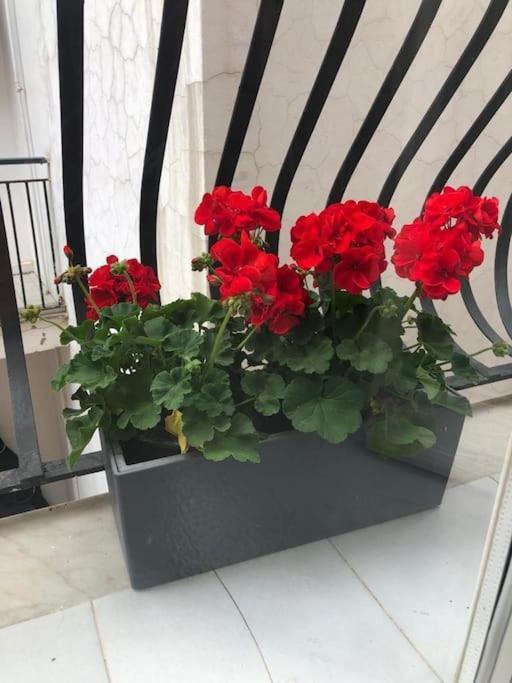 Delizioso A Apartment *