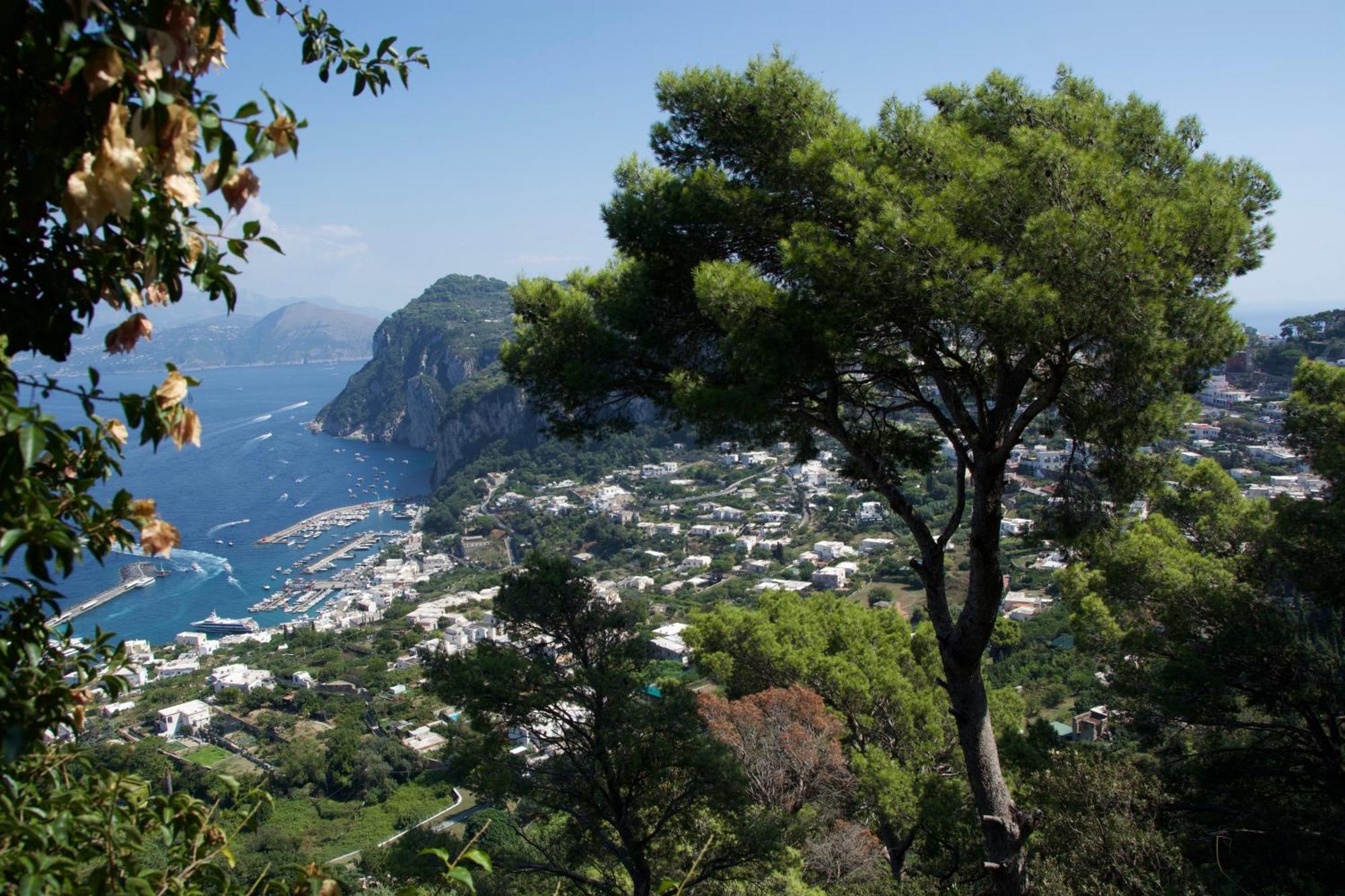La Casa Nel Bosco Guest house Capri