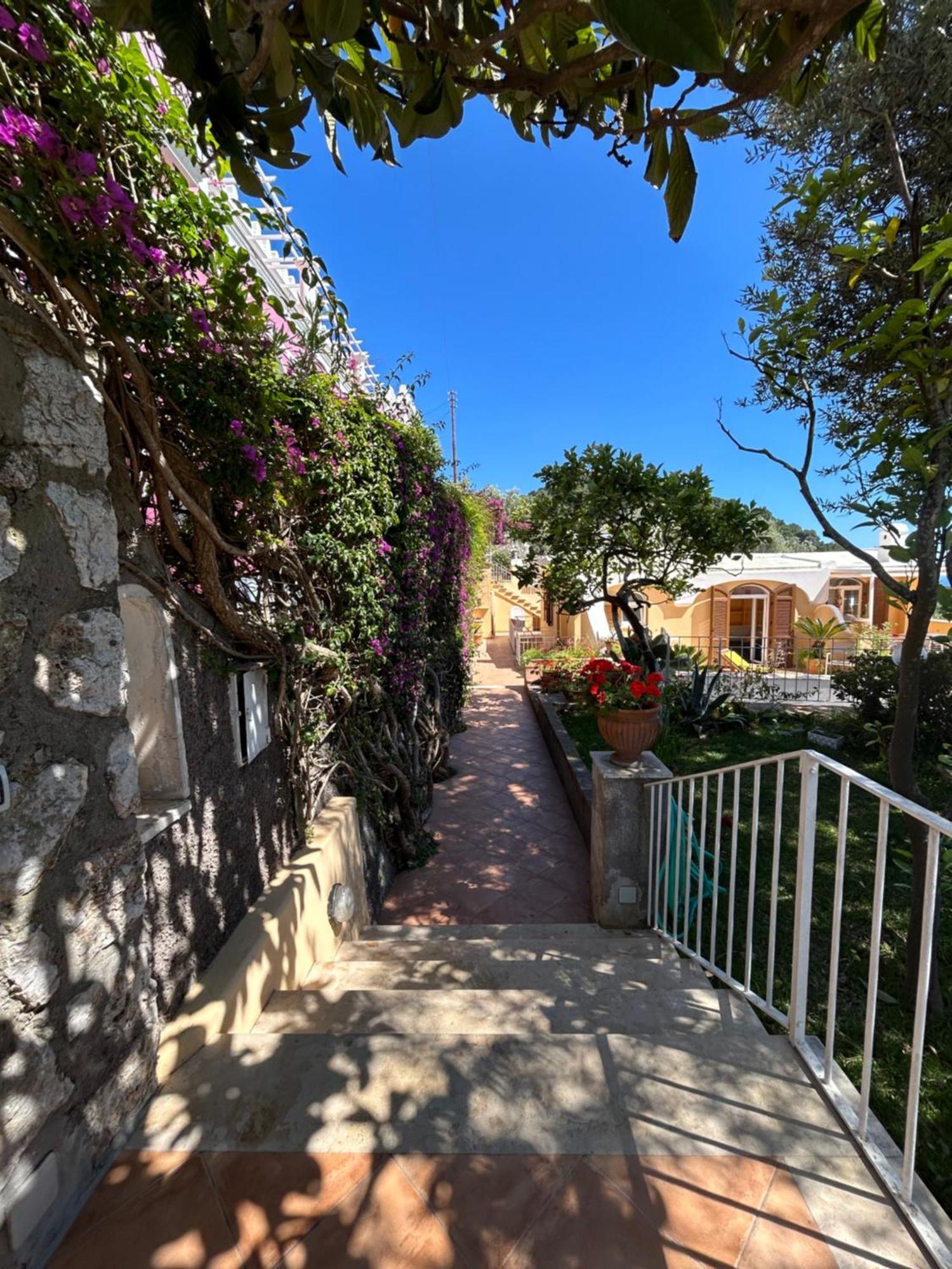 Apartment Private Sea View Con Terrazza E Giardino