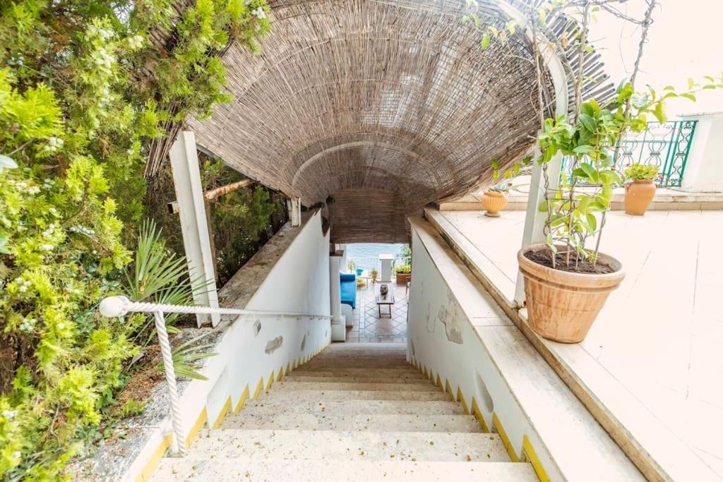Le Monachelle Capri