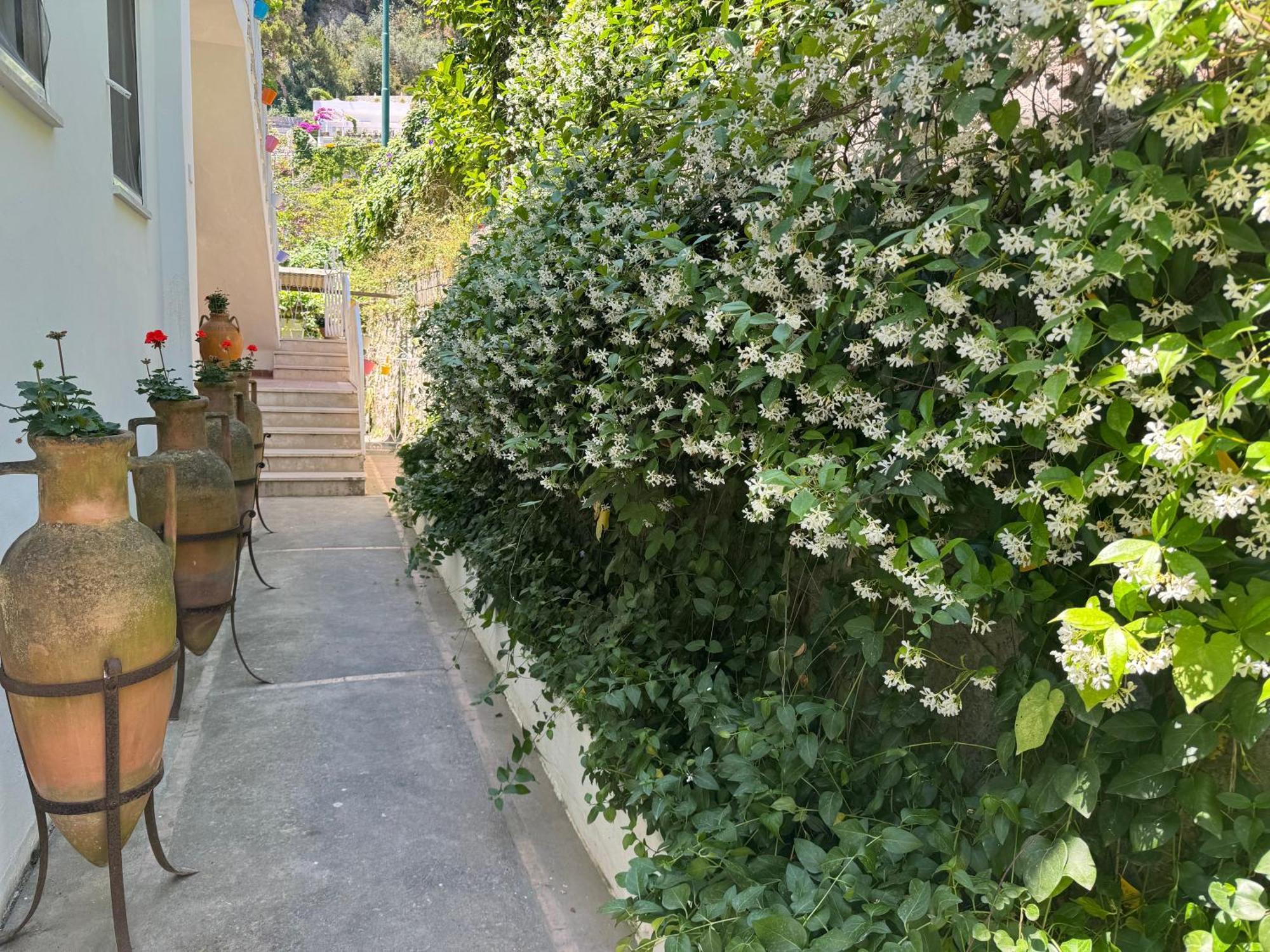 Striano Boutique Guest house