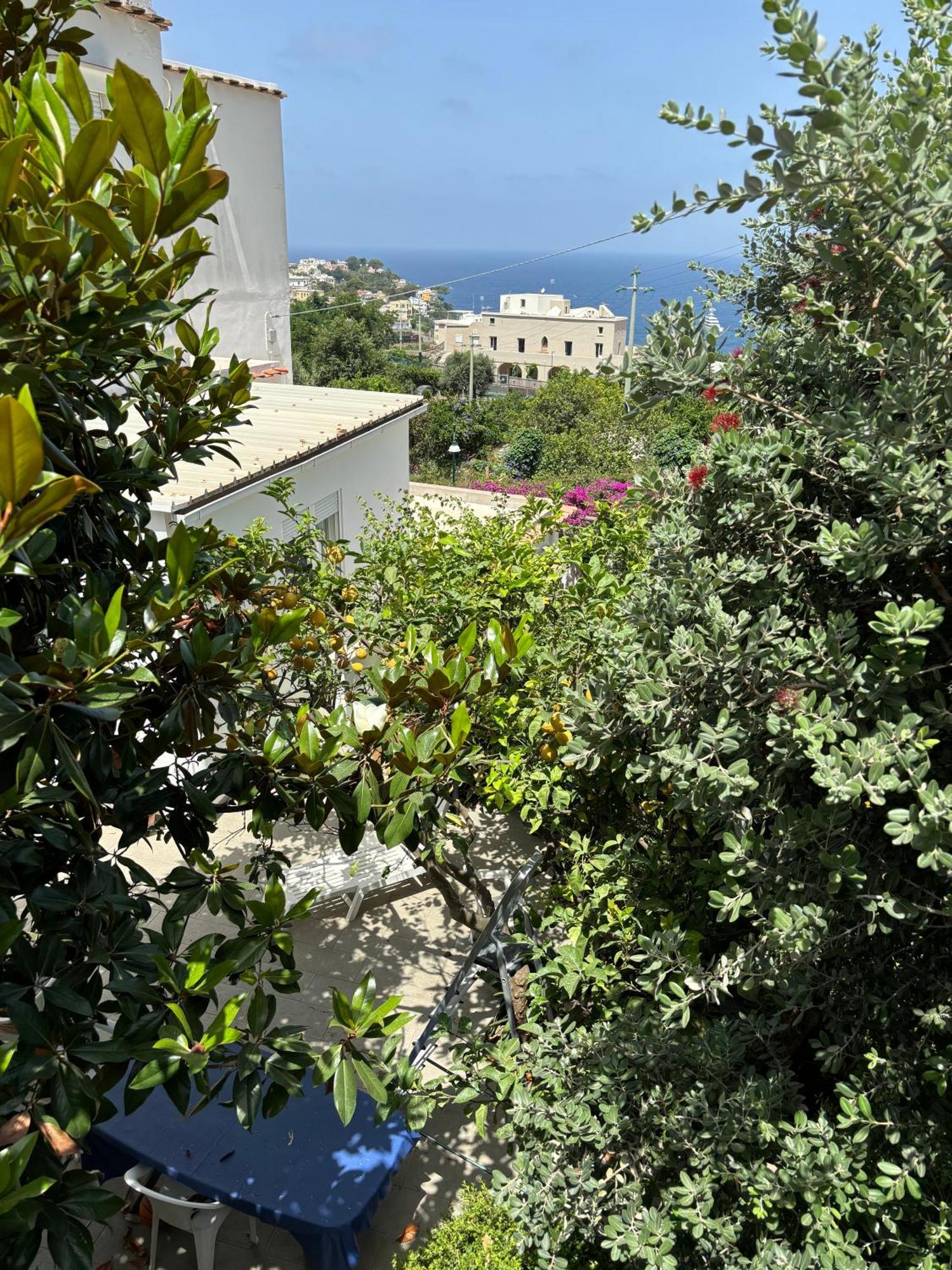 Nennell'apartment Capri