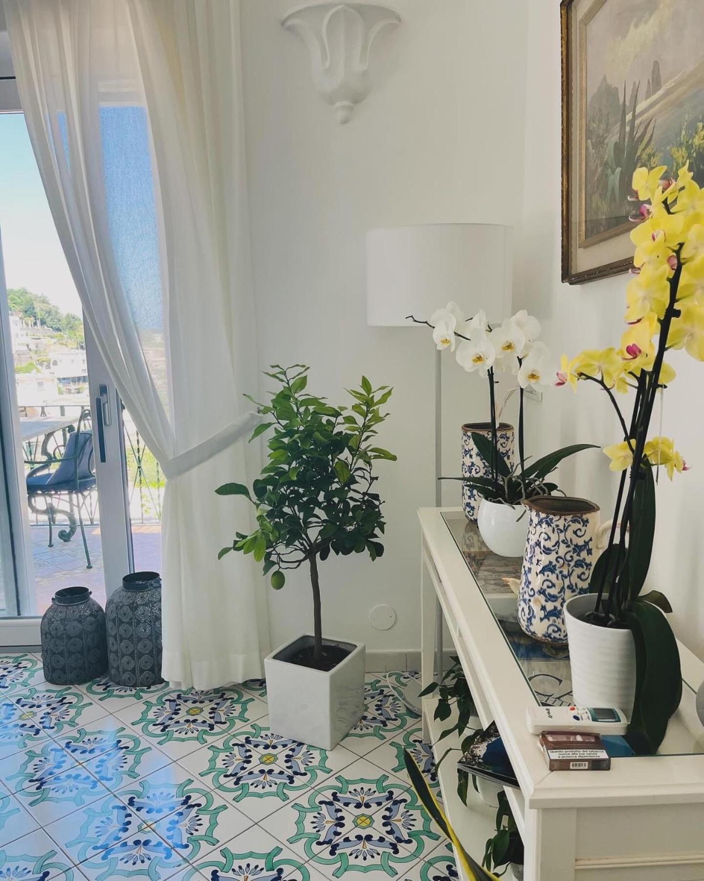 L'agapanto Bed & Breakfast Capri