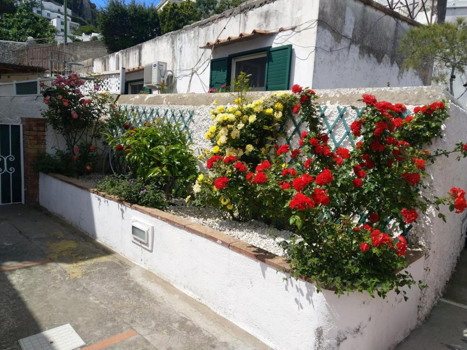 La Marocella Capri