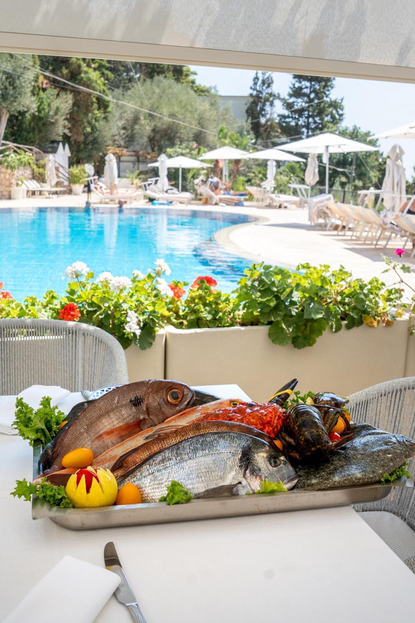 Hotel La Vega