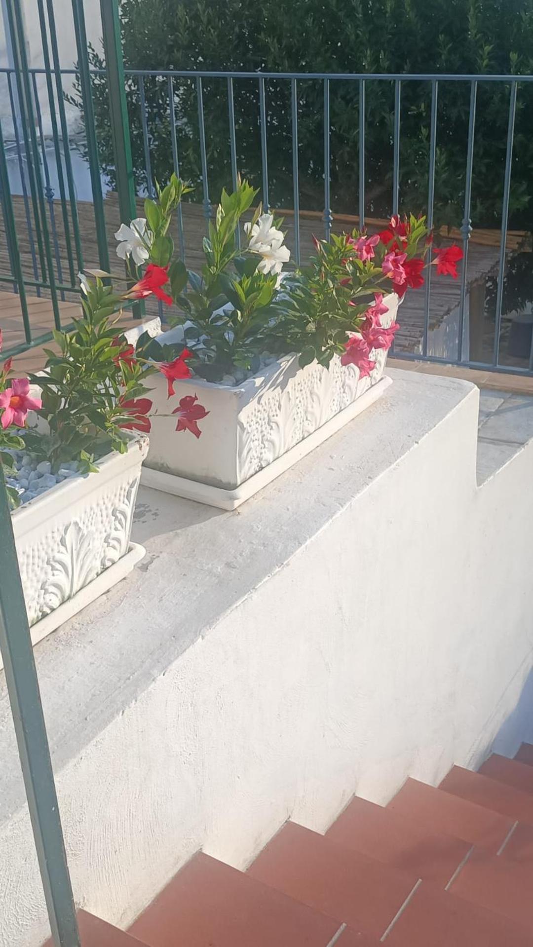 Maison Saint Michael Capri