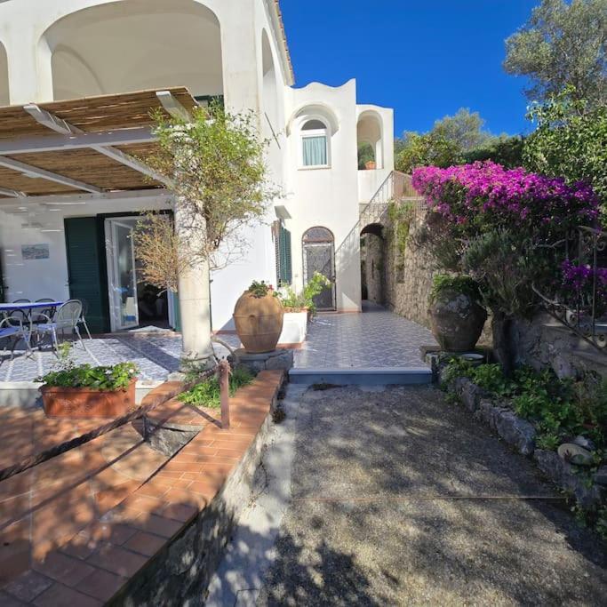 Casa Infinito Pousada