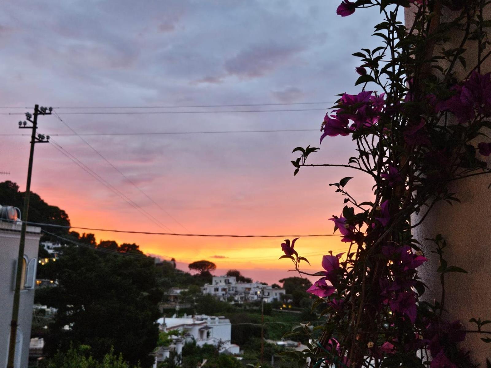 Bed & Breakfast Il Portico Capri