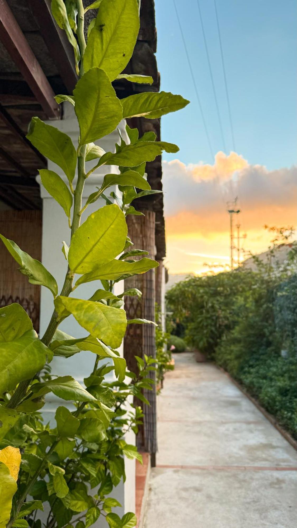 Il Cigno Bed & Breakfast Capri