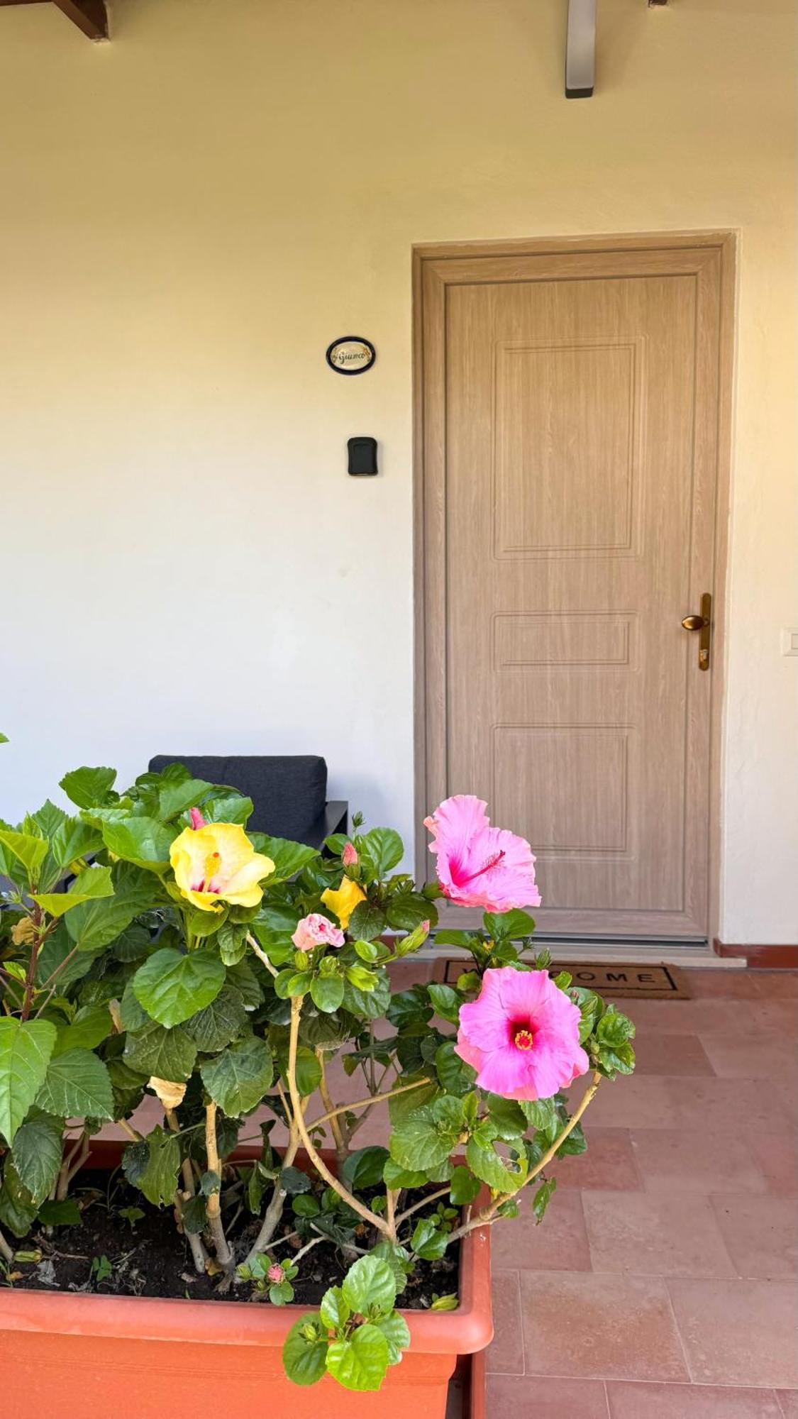 Il Cigno Bed & Breakfast Capri