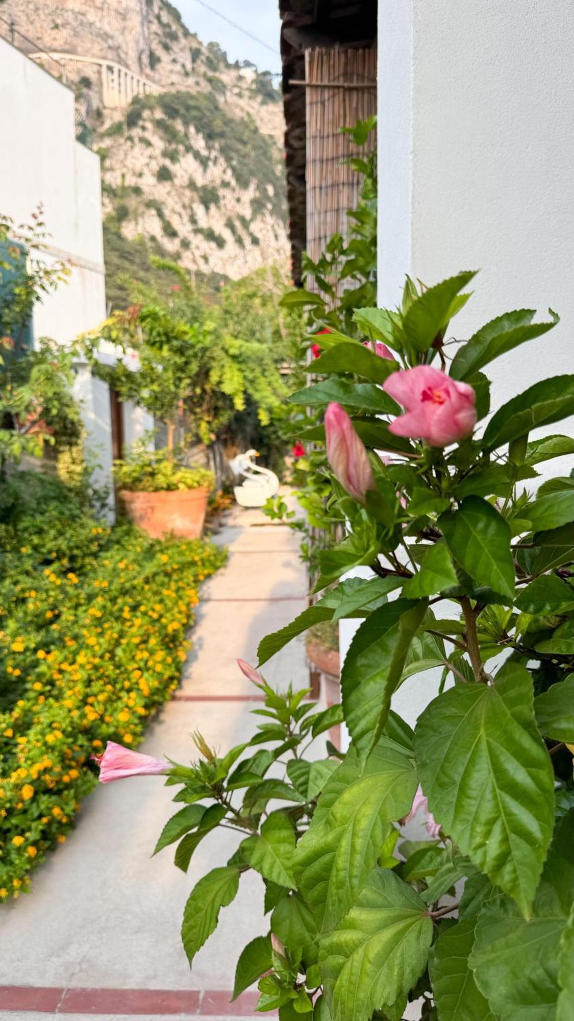 Il Cigno Bed & Breakfast