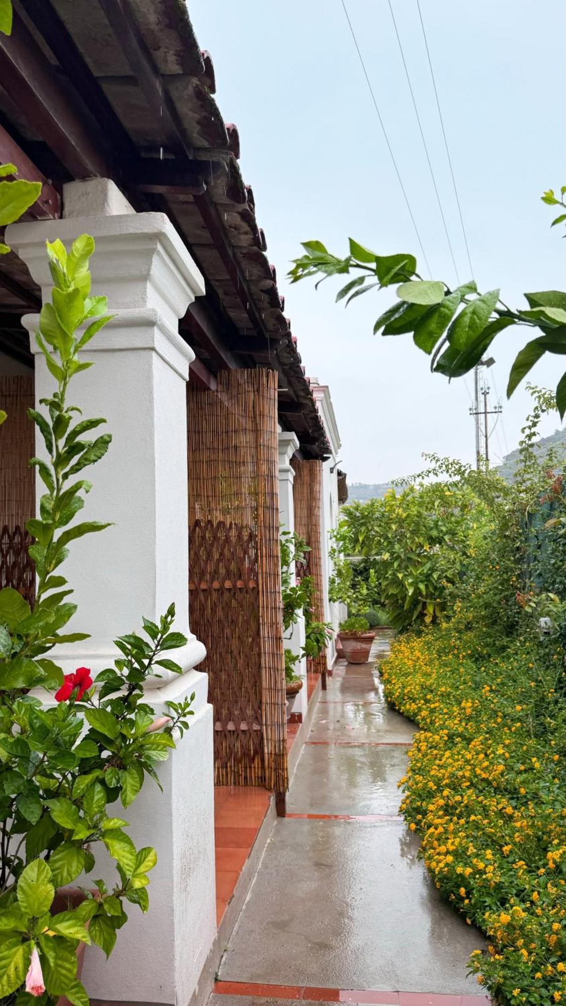 Bed & Breakfast Il Cigno Capri