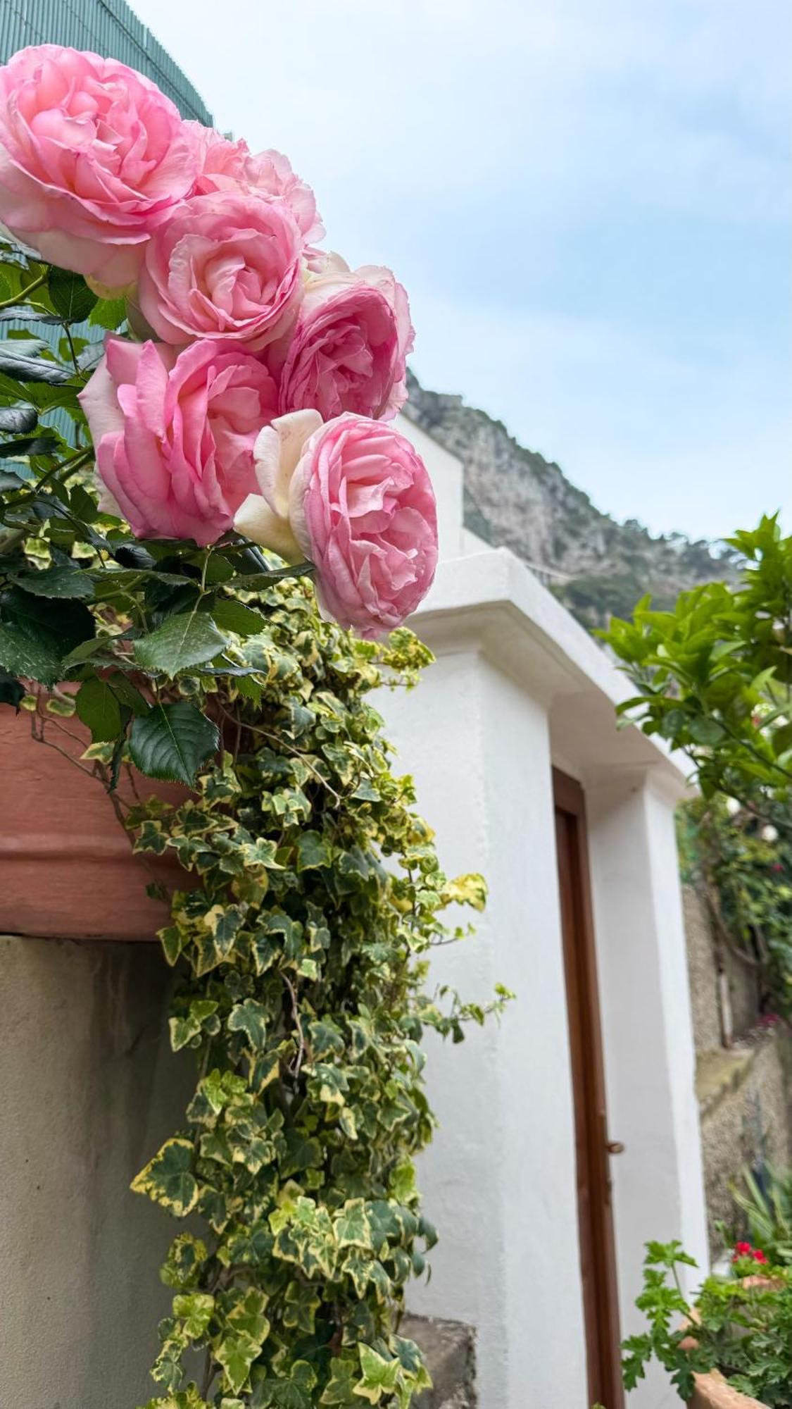Frühstückspension Il Cigno Capri