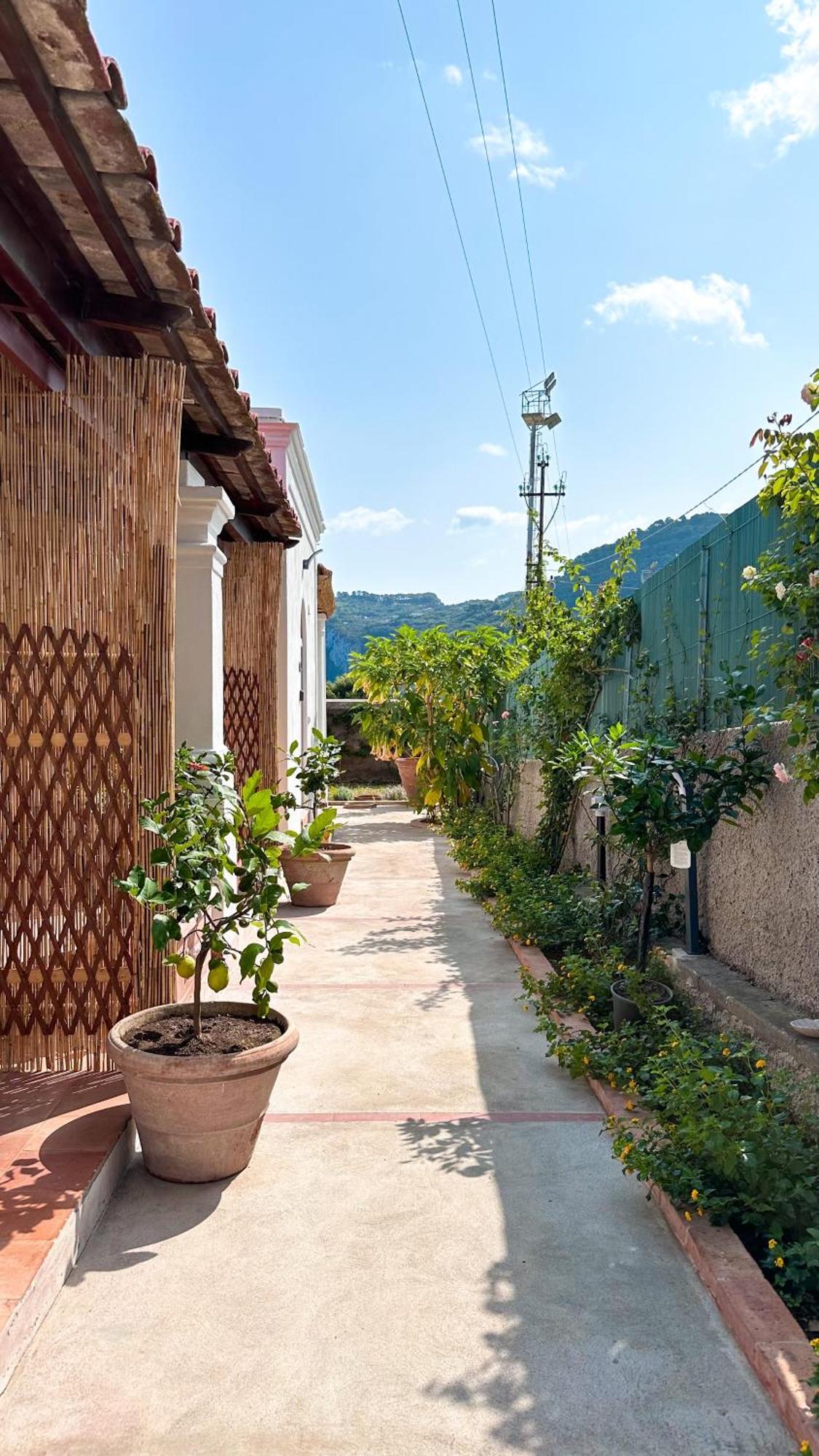 Bed & Breakfast Il Cigno