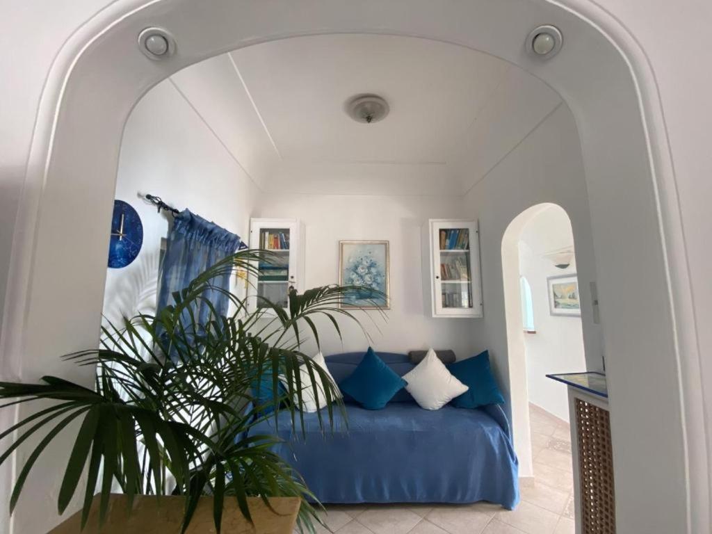 Apartment Private Sea View Con Terrazza E Giardino Capri