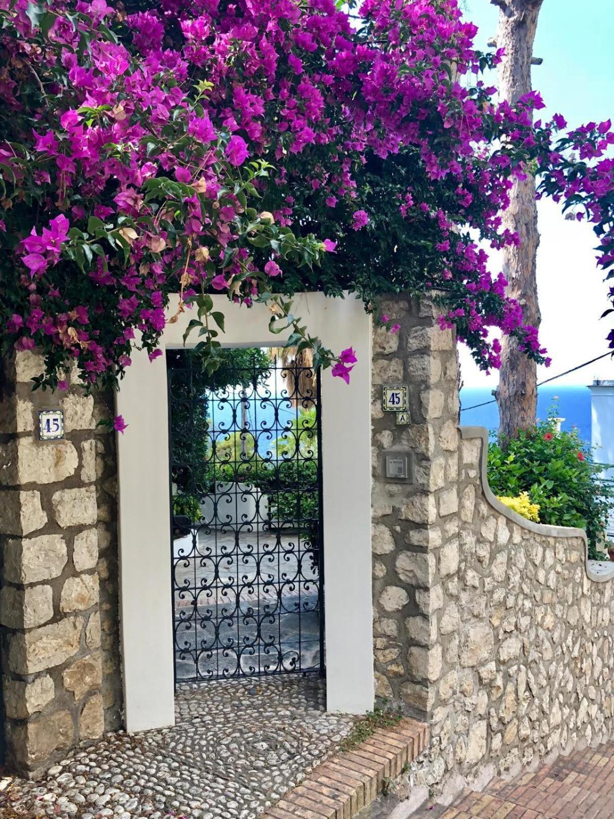 Villa Azzurra *