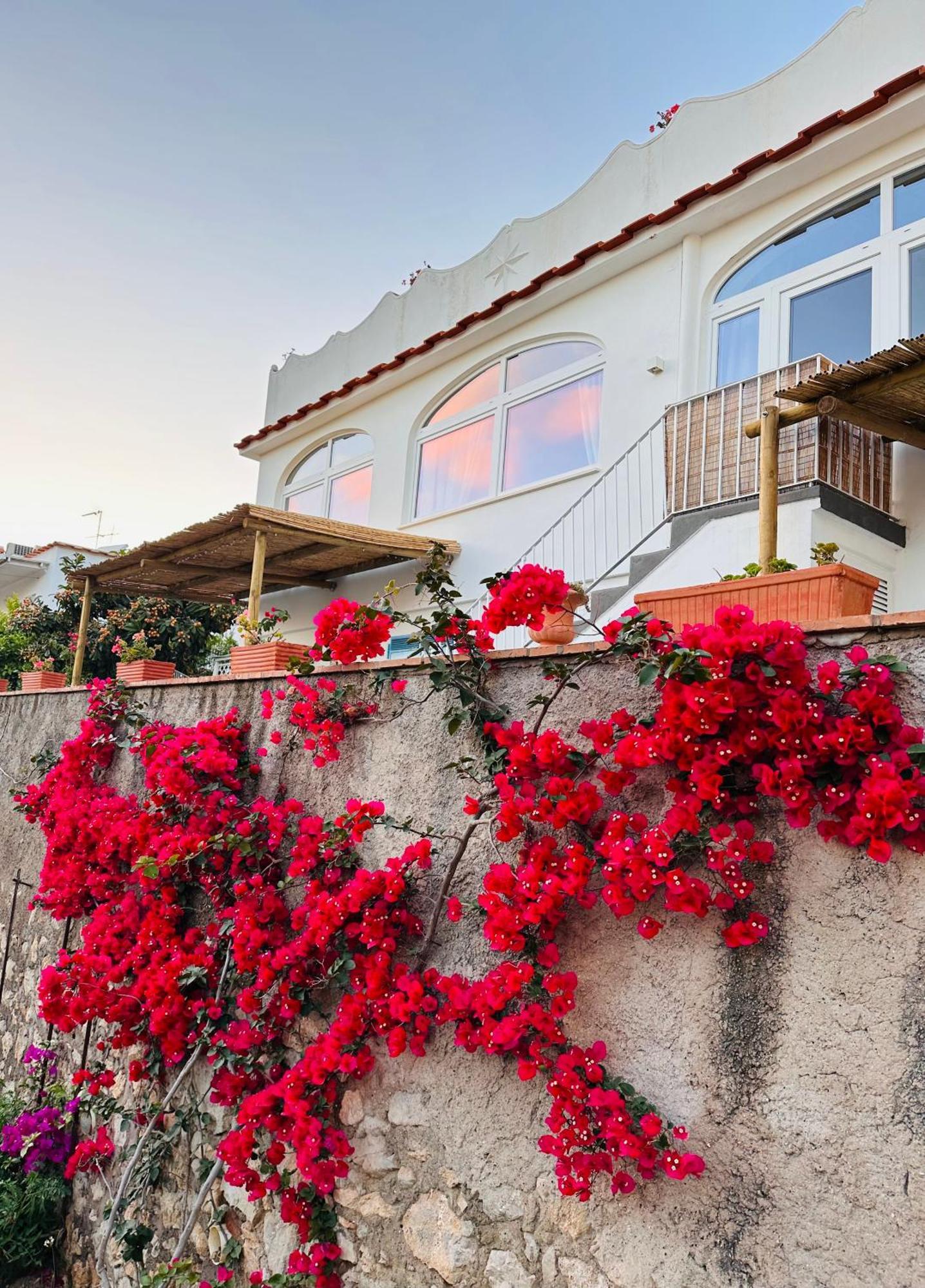 Joy Holiday home
