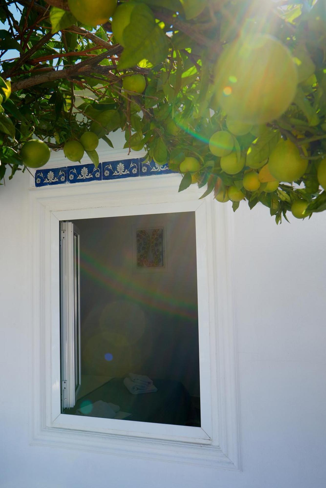 La Casa Dei Merli Holiday home *
