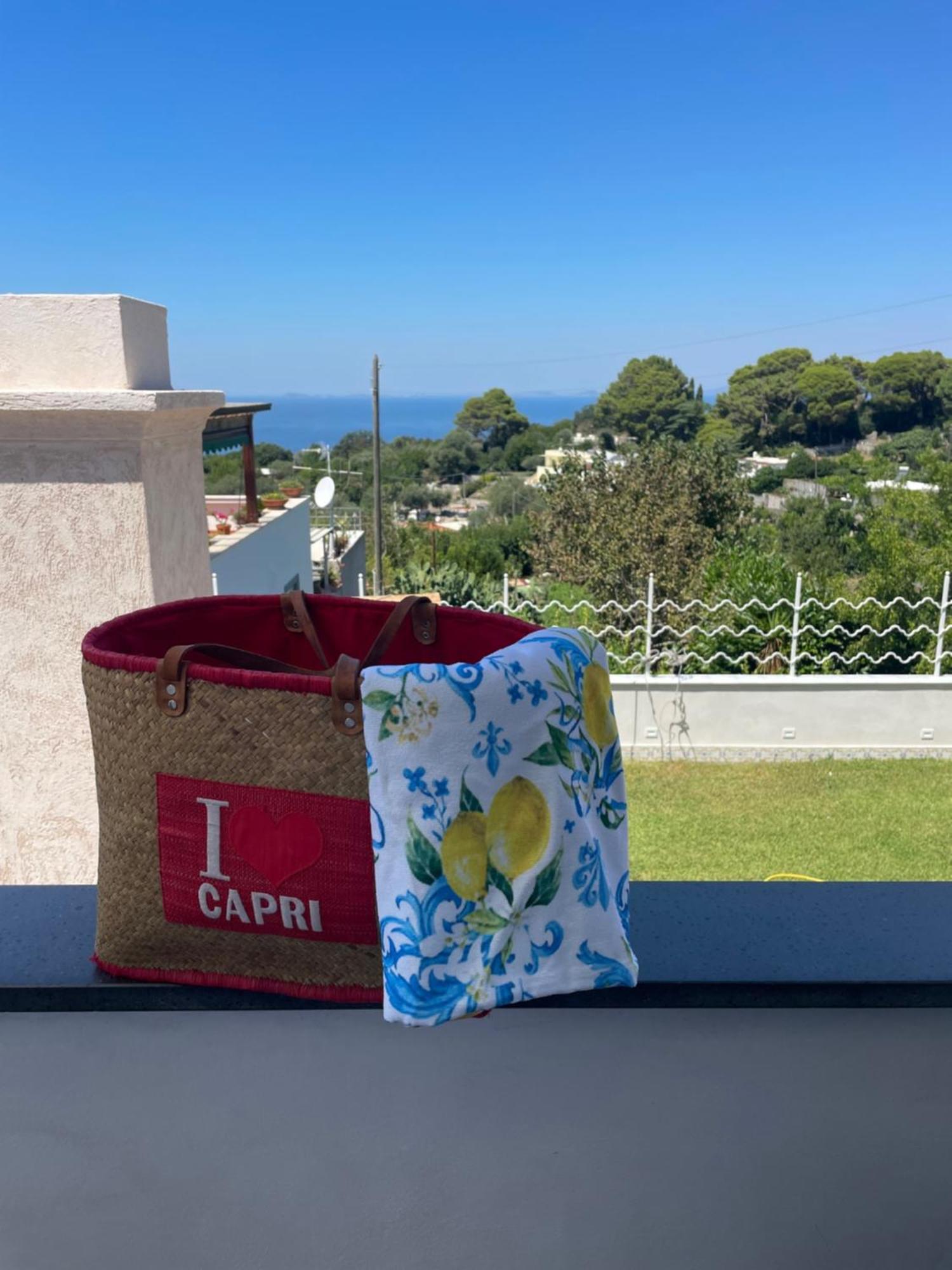Casa La Felicita Apartment Capri