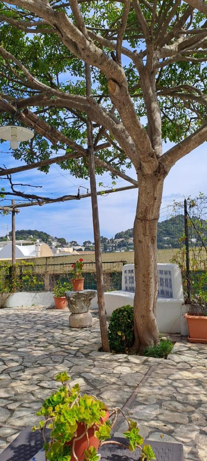 Giardini Luxury Gasthof Capri