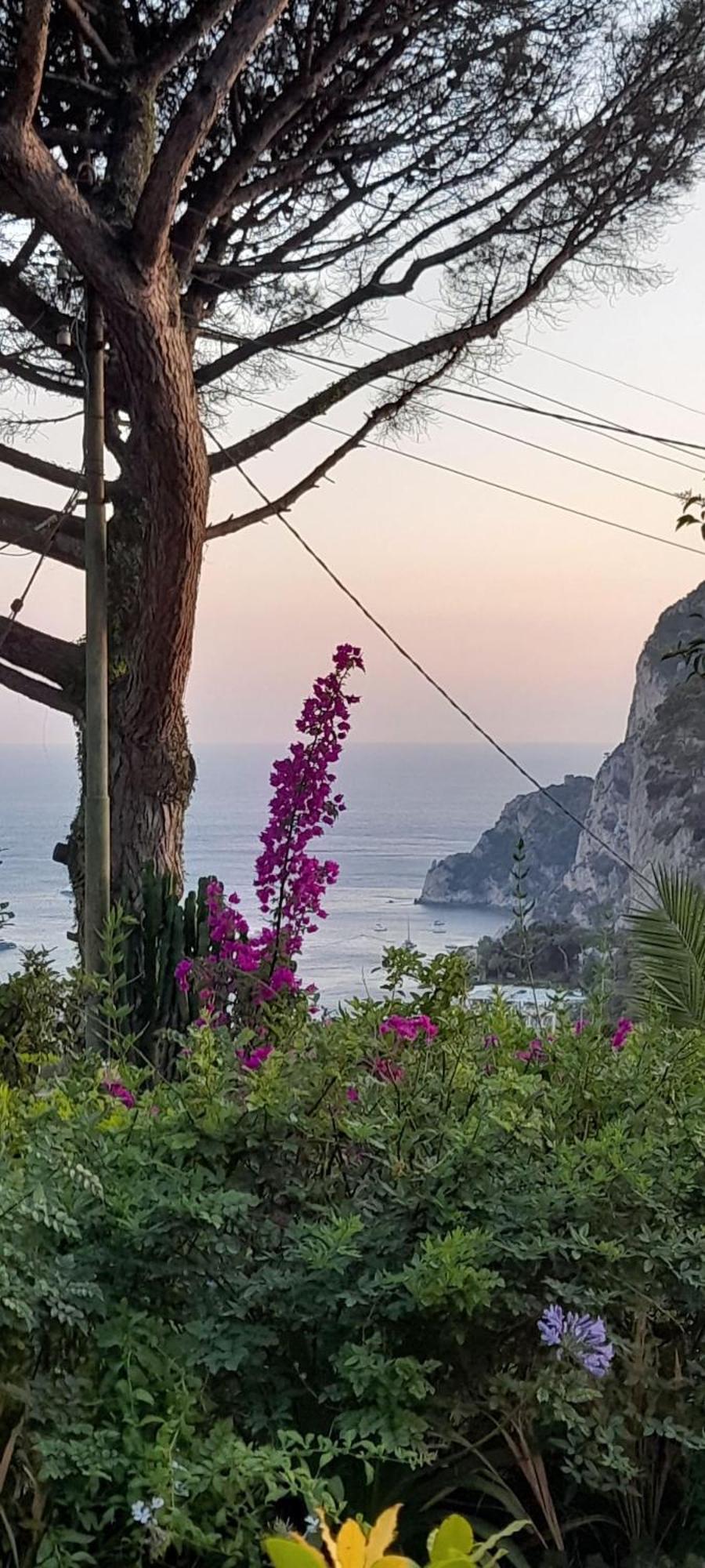 Rosetta Holiday home