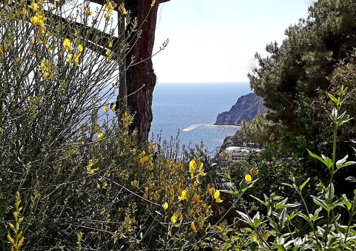 Rosetta Holiday home