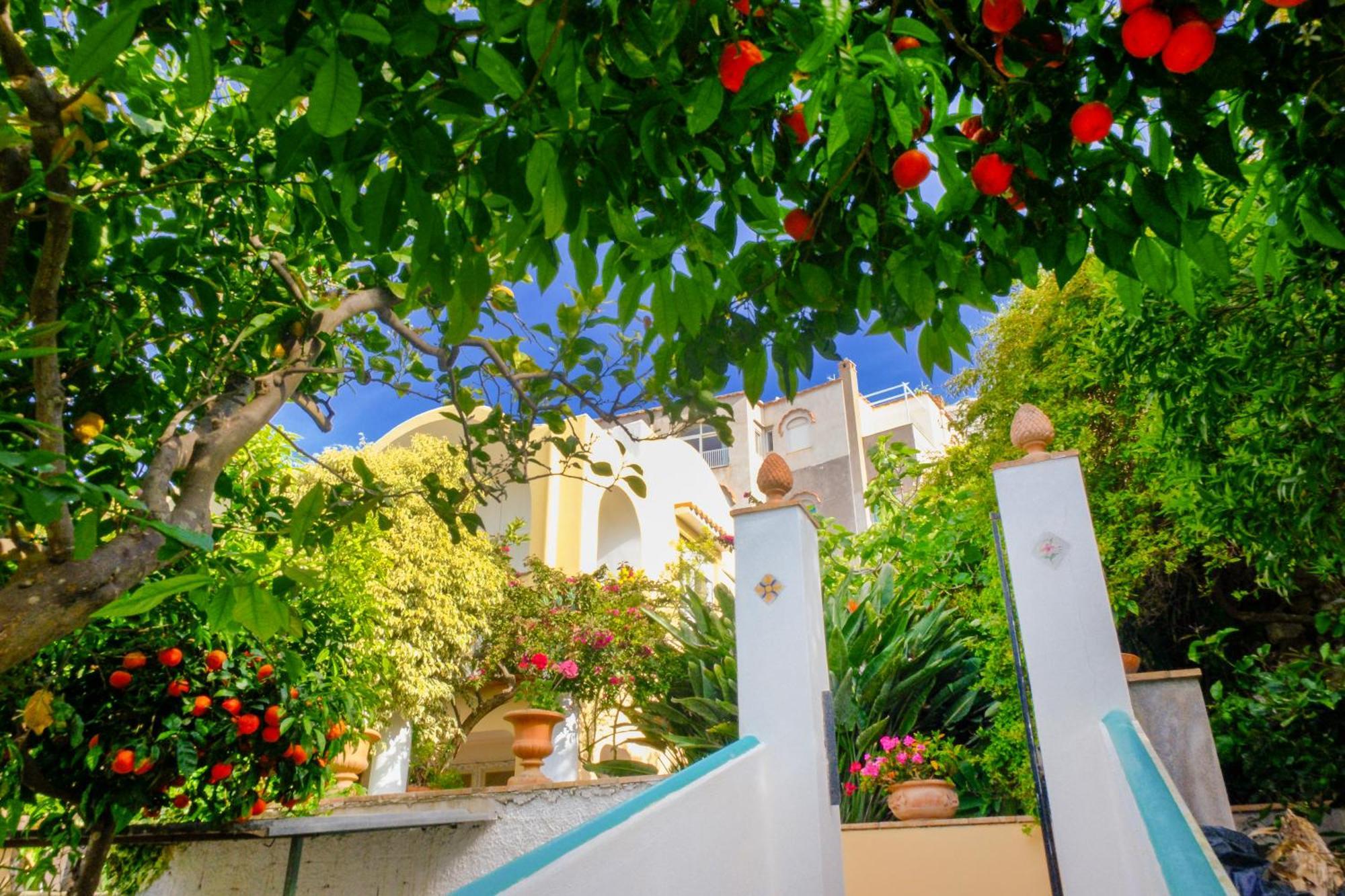 Dorothee Guest house *