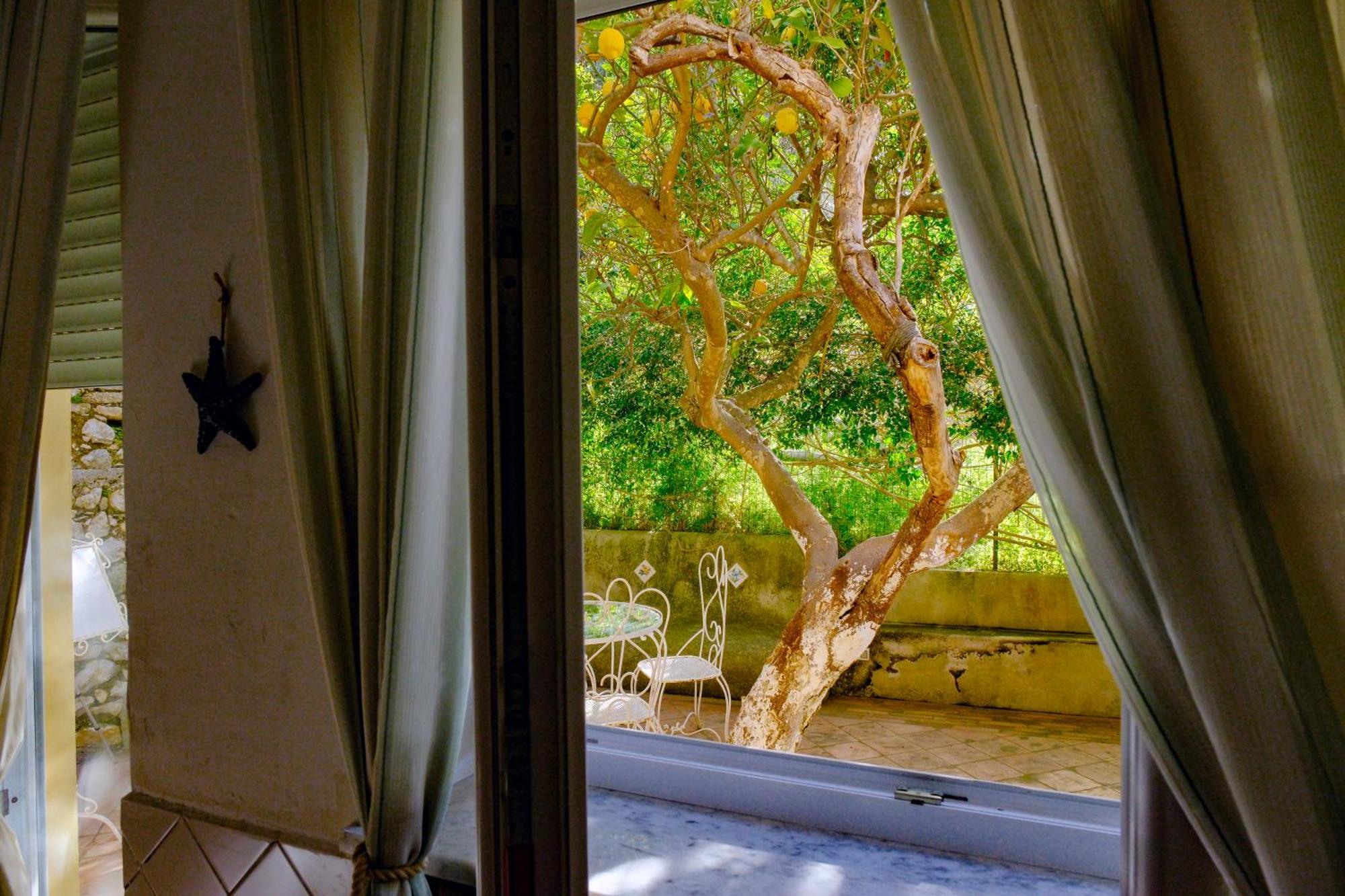 Guest house Dorothee Capri