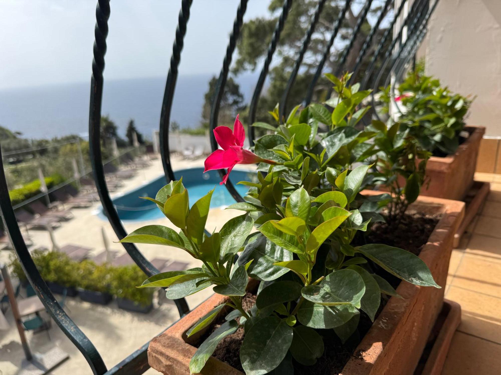 Della Piccola Marina Hotel Capri