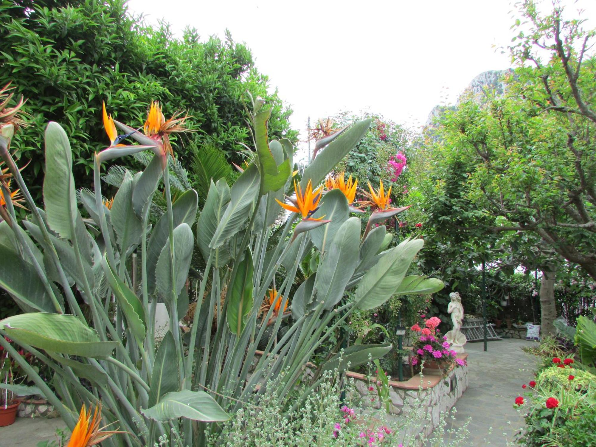 Bed & Breakfast Palazzo A Mare