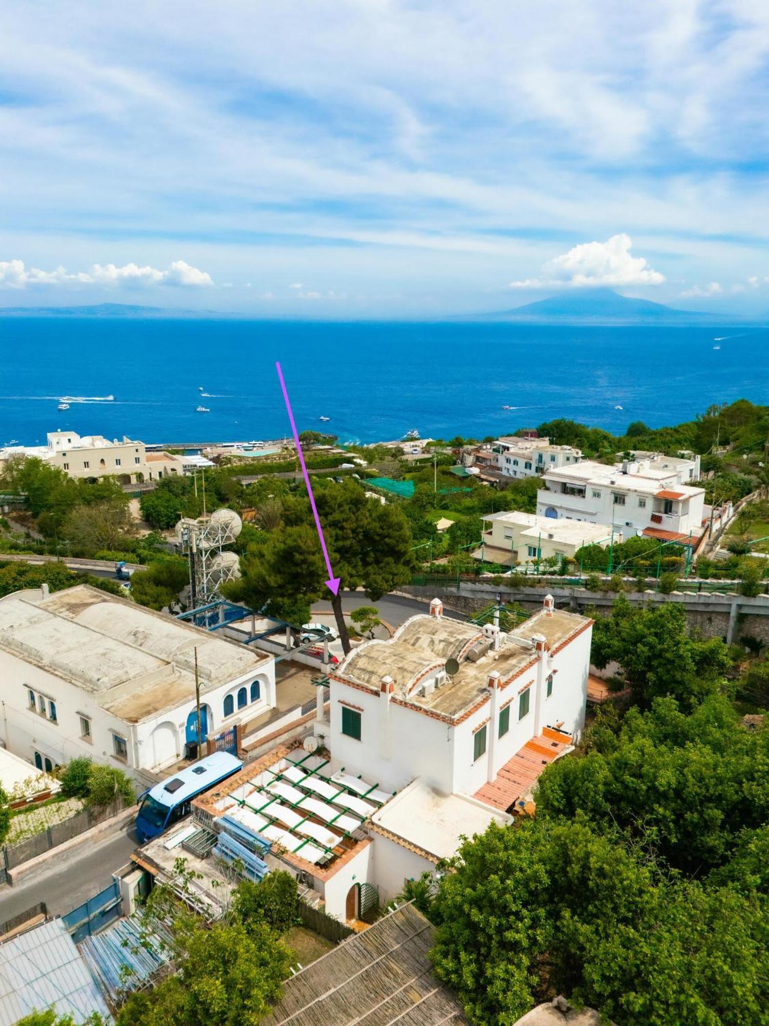 Nella Curva Della Funicolare, Apartment Capri