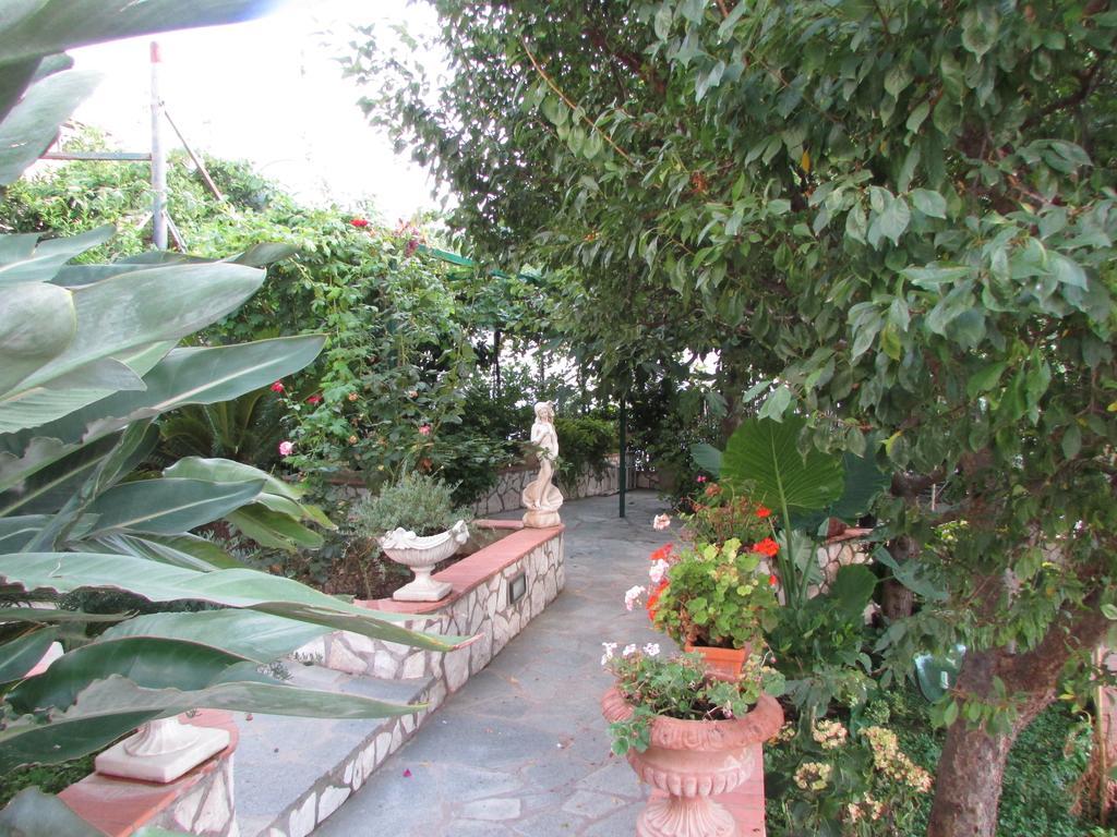 Palazzo A Mare Bed & Breakfast