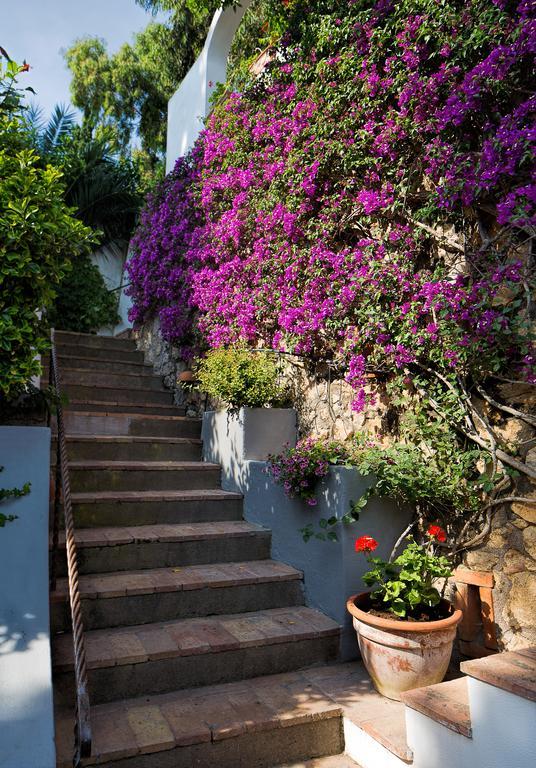 Solaria Apartment Capri
