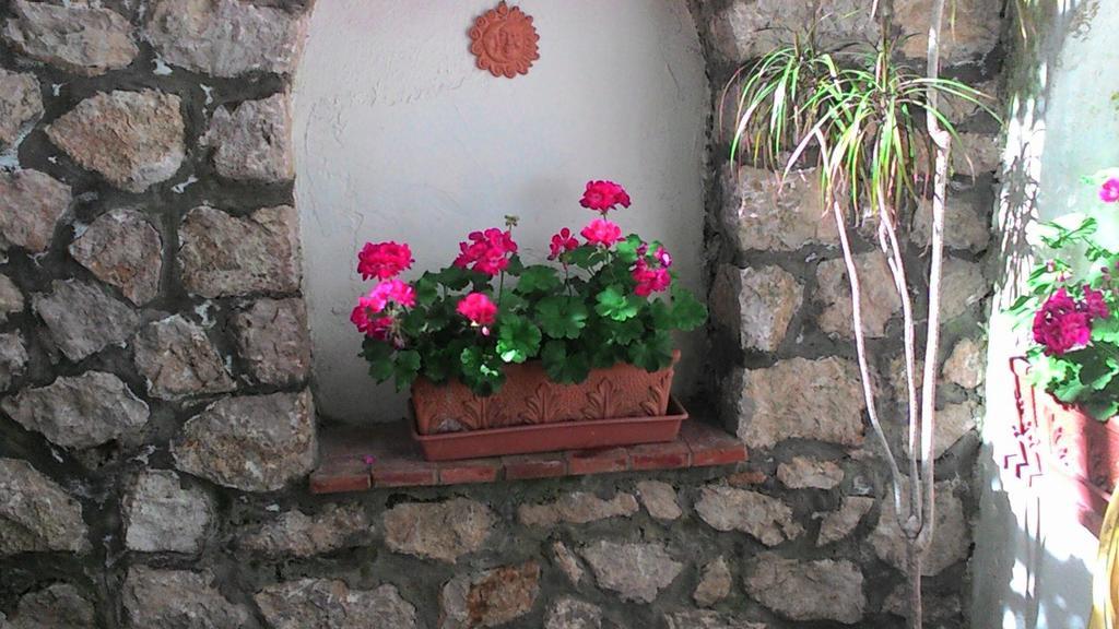 Il Raggio Apartamento