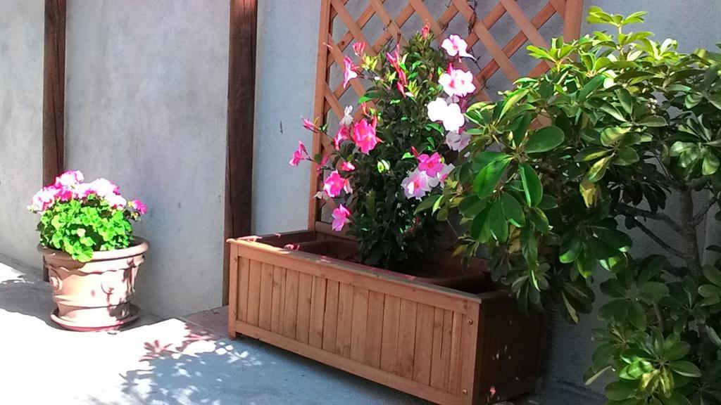 Apartamento Il Raggio *