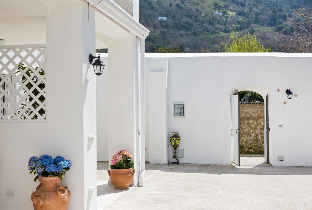 Guest house La Limonaia Capri Anacapri (Isola di Capri)