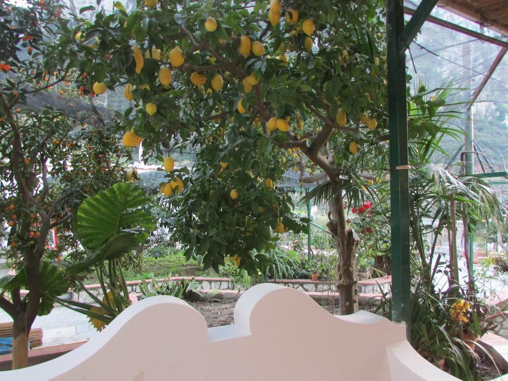 Palazzo A Mare Capri