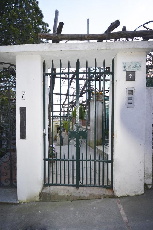 La Musa Capri