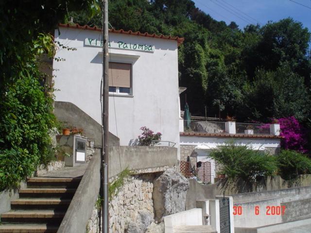 Palomba Capri