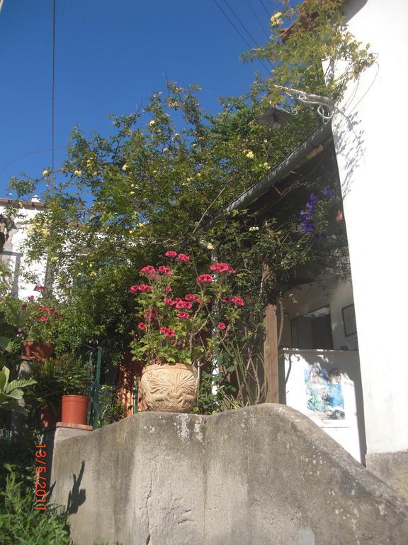 Affittacamere Palomba