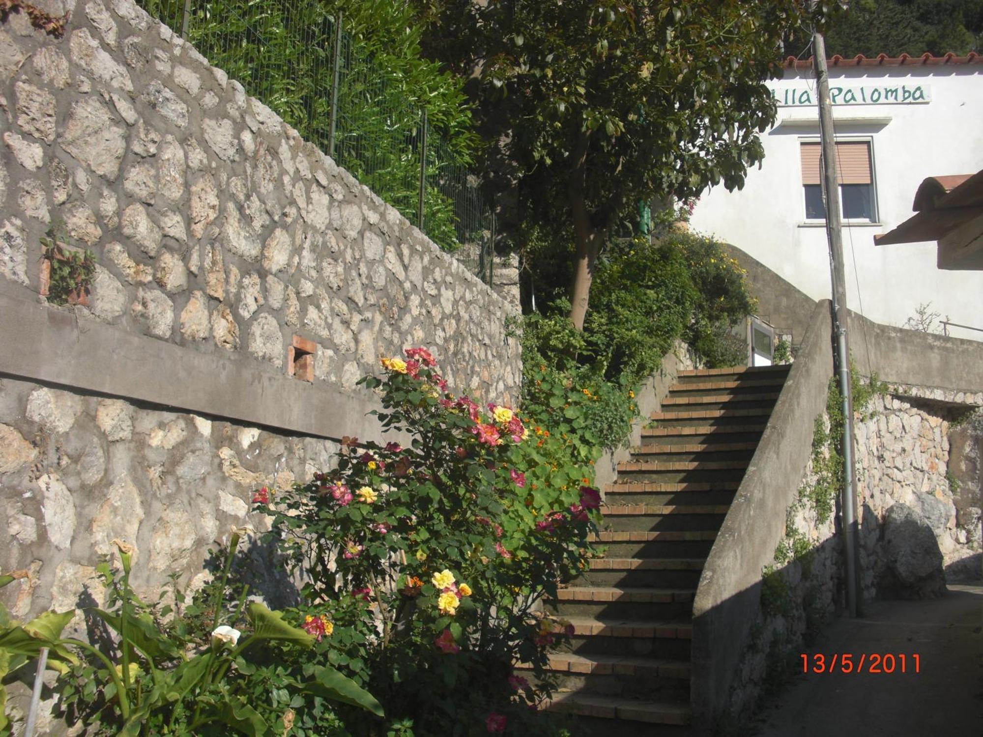 Palomba