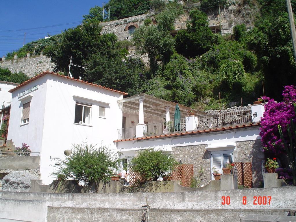 Palomba
