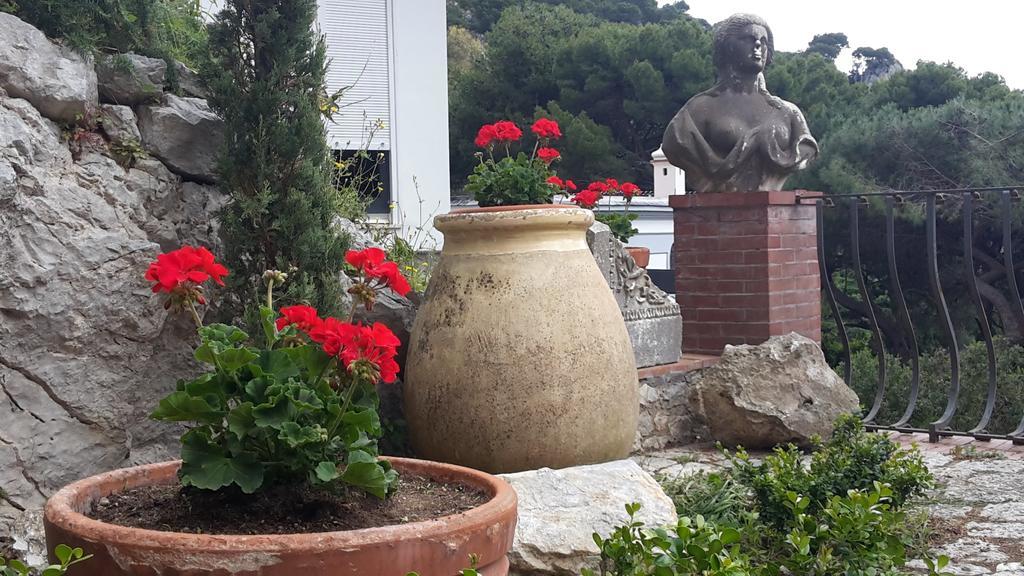 Oda ve Kahvaltı Casa Del Solitario *